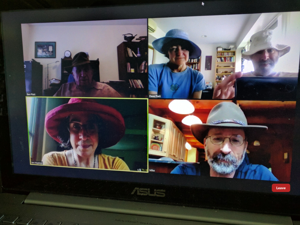 Figure 2: AC Zoom Meeting Screen
Full Screen Gallery View With Leave Button Visible, and Never Anything Else